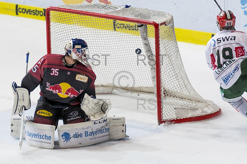 GER, DEL, EHC Red Bull Muenchen vs. Augsburger Panther