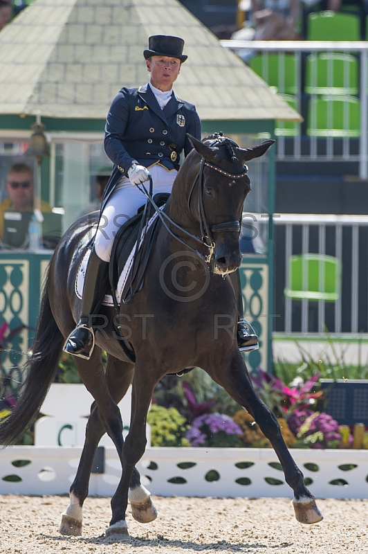 BRA, Olympia 2016 Rio, Reitsport , Dressur EInzel Grand Prix Kuer