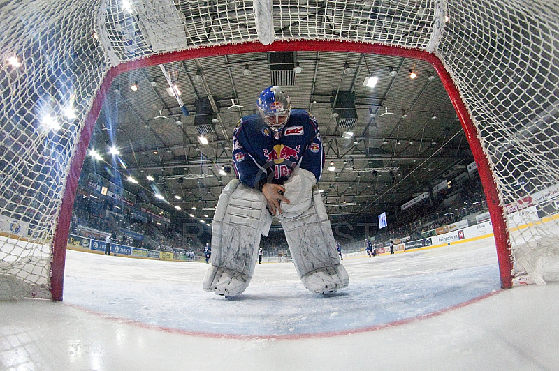 GER, DEL, EHC Red Bull Muenchen vs. Hamburg Freezers