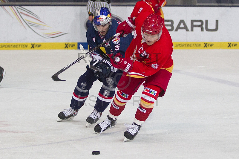 GER, DEL, EHC Red Bull Muenchen vs. Duesseldorfer EG