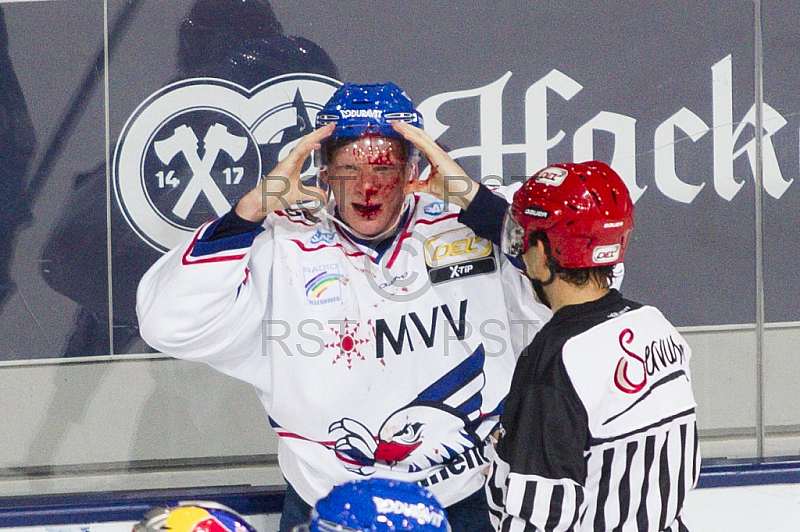 GER, DEL, EHC Red Bull Muenchen vs. Adler Mannheim