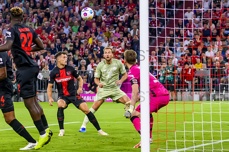 GER, DFB, FC Bayern Muenchen vs. Bayer 04 Leverkusen 