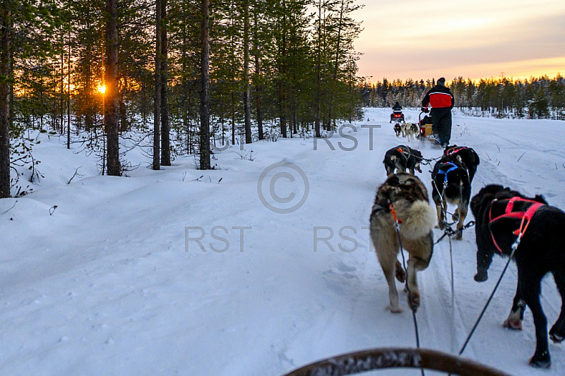 FIN, feature aus Rovaniemi, dem Zuhause des Weihnachtsmannes