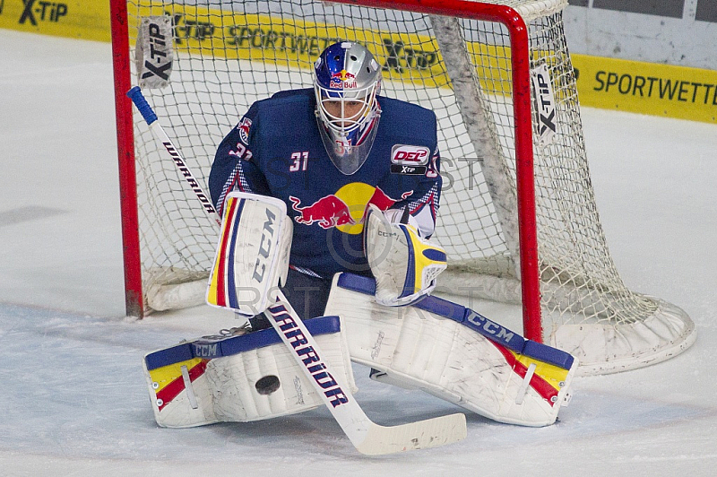 GER, DEL, EHC Red Bull Muenchen vs. Eisbaeren Berlin