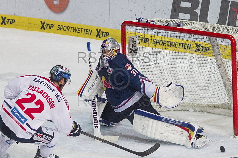 GER, DEL, EHC Red Bull Muenchen vs. Eisbaeren Berlin