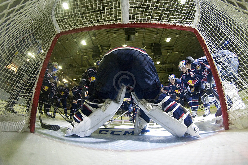 GER, DEL, EHC Red Bull Muenchen vs. Hamburg Freezers