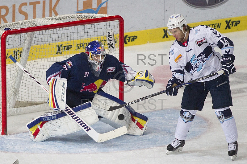 GER, DEL, EHC Red Bull Muenchen vs. Hamburg Freezers