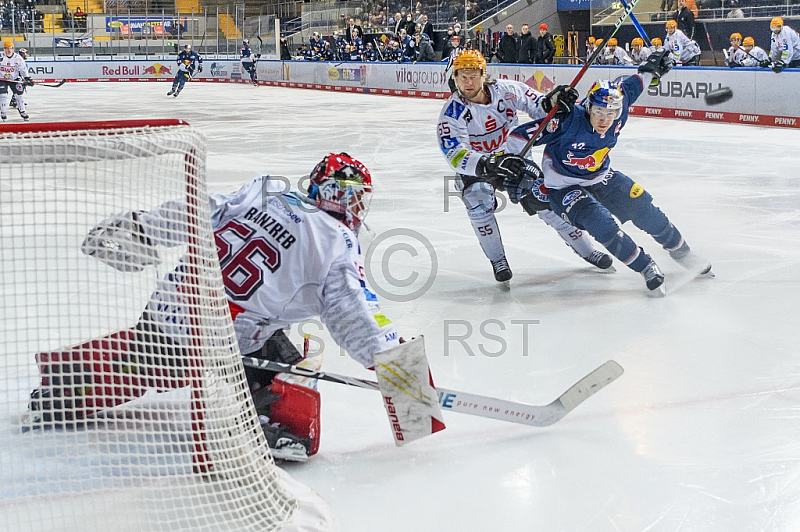 GER, DEL, EHC Red Bull Muenchen vs Fischtown Pinguins Bremerhaven