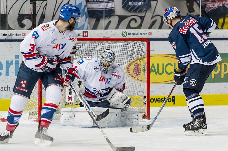 GER, DEL Play Off, Halbfinale, EHC Red Bull Muenchen vs. Adler Mannheim