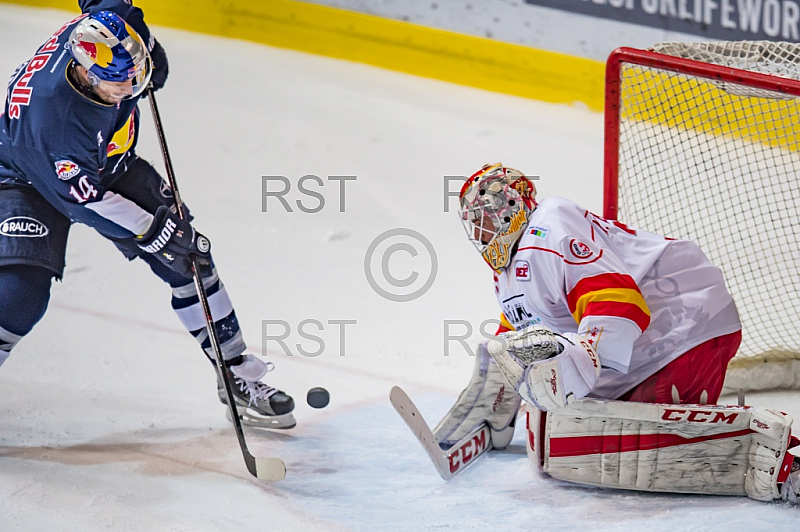 GER, DEL, EHC Red Bull Muenchen vs. Duesseldorfer EG