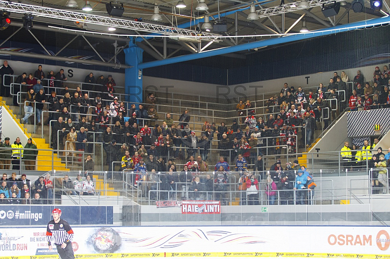 GER, DEL, EHC Red Bull Muenchen vs. Koelner Haie