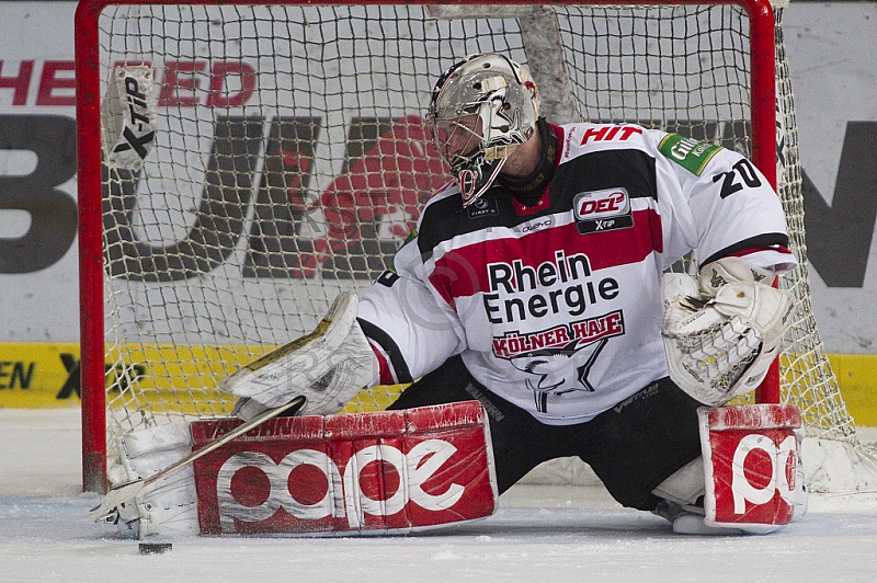 GER, DEL, EHC Red Bull Muenchen vs. Koelner Haie