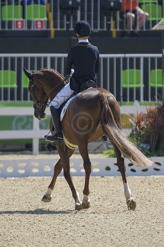 BRA, Olympia 2016 Rio, Pferdesport Dressur - Vielseitigkeitsreiten Tag 1 