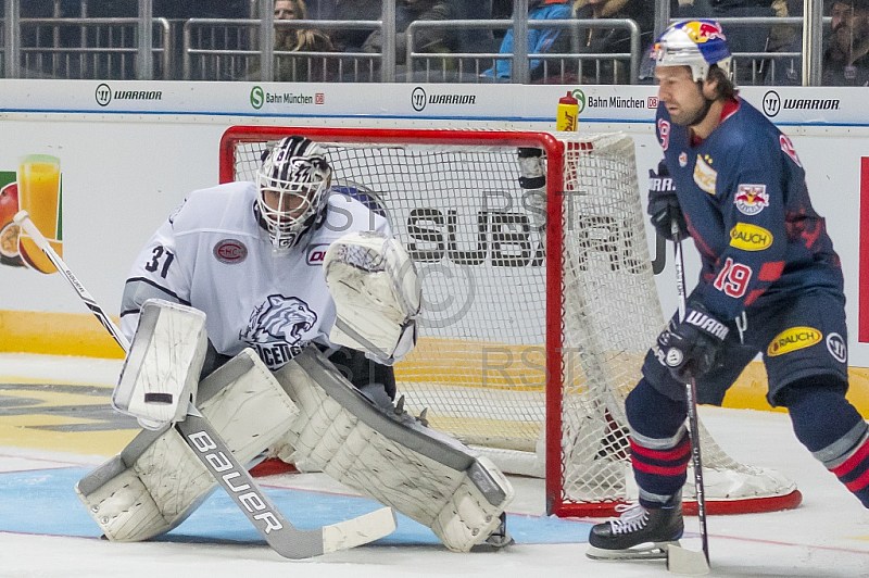 GER, DEL, EHC Red Bull Muenchen vs. Thomas Sabo Ice Tigers