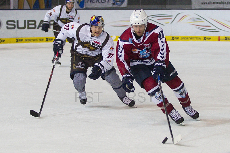 GER, DEL, EHC Red Bull Muenchen vs. Hamburg Freezers