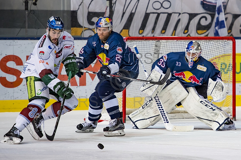 GER, DEL, EHC Red Bull Muenchen vs. Augburger Panther