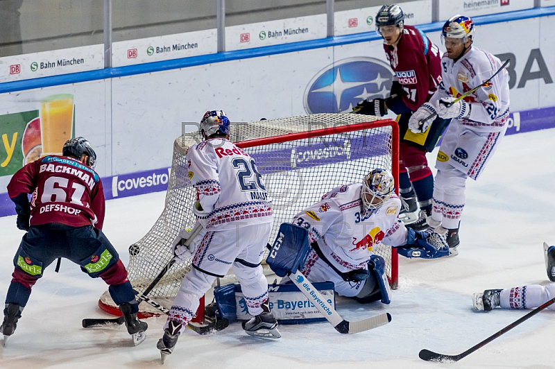 GER, DEL, EHC Red Bull Muenchen vs. Eisbaeren Berlin