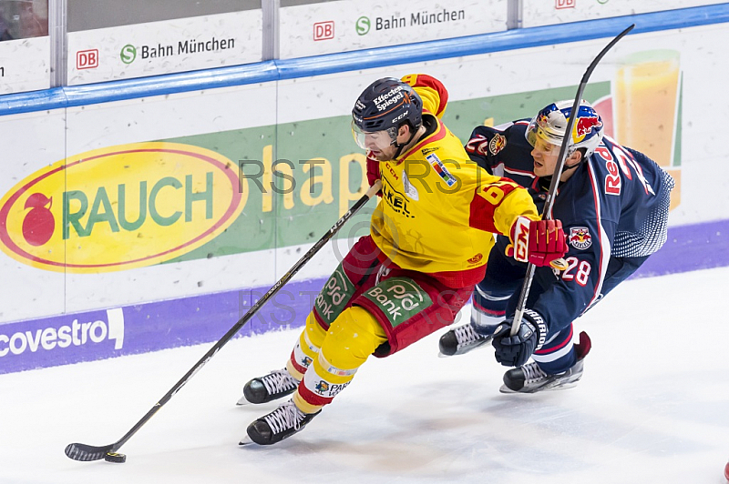 GER, DEL, EHC Red Bull Muenchen vs. Duesseldorfer EG