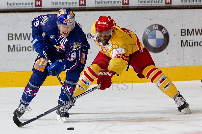 GER, DEL, EHC Red Bull Muenchen vs. Duesseldorfer EG