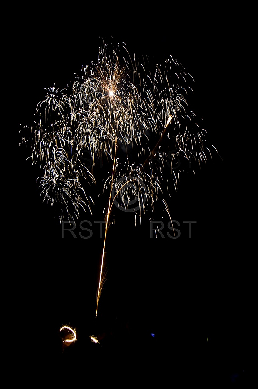 GER,Sylvesterfeier mit Feuerwerk auf dem Muenchner Luitpoldpark