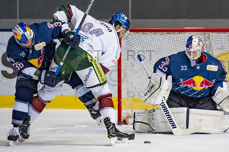 GER, DEL, EHC Red Bull Muenchen vs. Augburger Panther