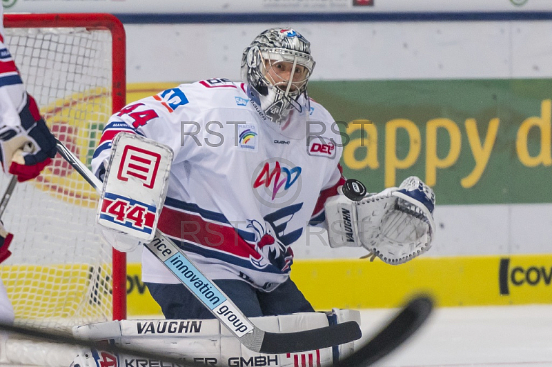 GER, DEL, EHC Red Bull Muenchen vs. Adler Mannheim