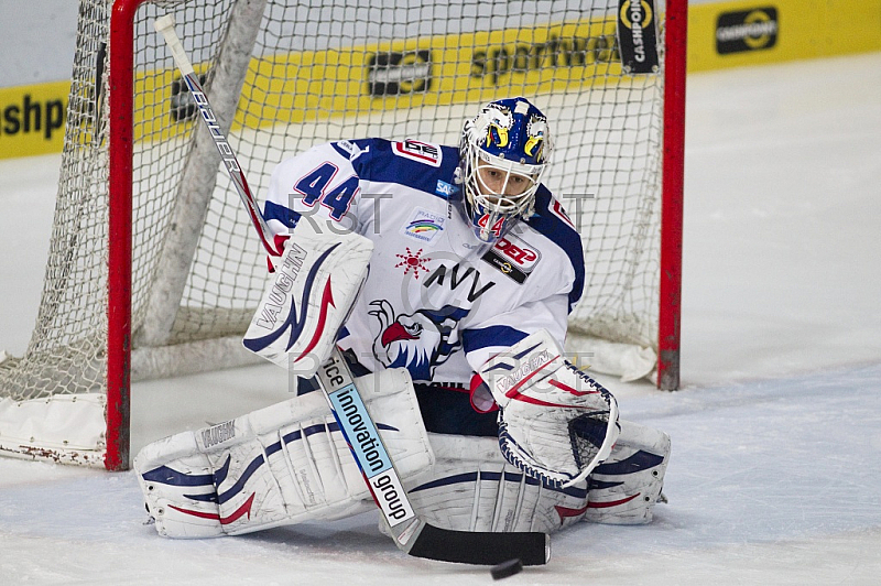 GER, DEL, EHC Red Bull Muenchen vs. Adler Mannheim