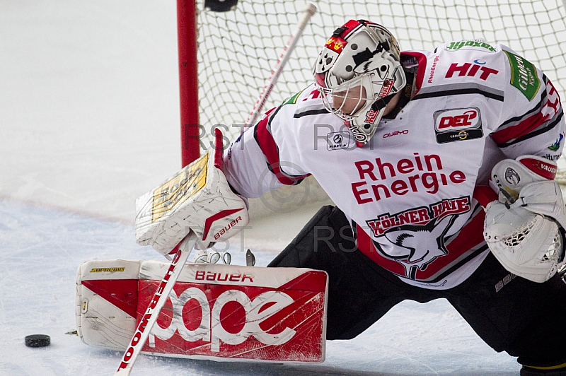 GER, DEL, EHC Red Bull Muenchen vs. Koelner Haie