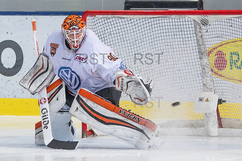 GER, DEL Playoff Finale Spiel 5, EHC Red Bull Muenchen vs. Grizzlys Wolfsburg