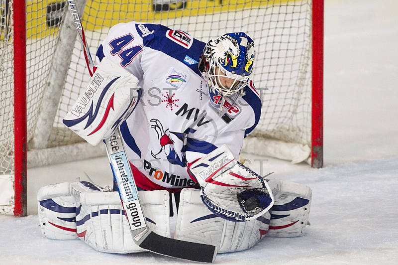 GER, DEL, EHC Red Bull Muenchen vs. Adler Mannheim