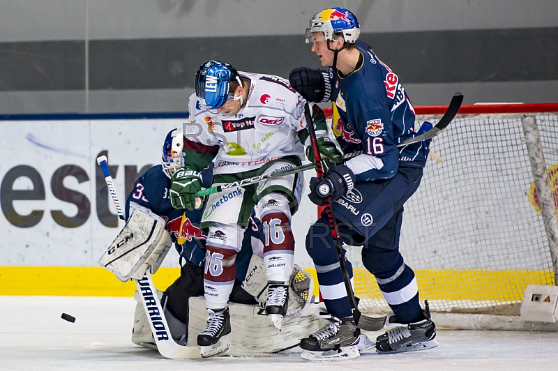 GER, DEL, EHC Red Bull Muenchen vs. Augburger Panther