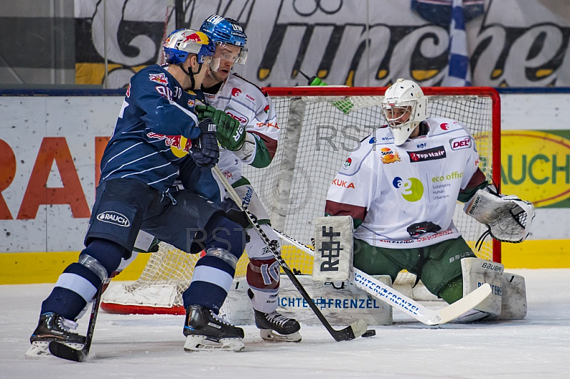 GER, DEL, EHC Red Bull Muenchen vs. Augburger Panther