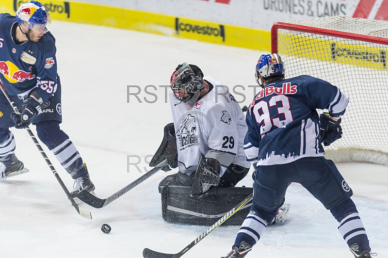 GER, DEL, EHC Red Bull Muenchen vs. Thomas Sabo Ice Tigers