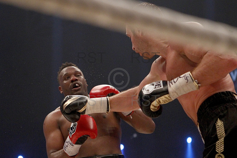 GER, WBC WM, Vitali Klitschko vs. Dereck Chisora