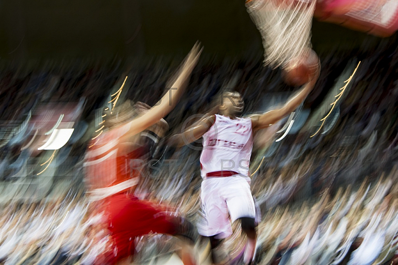 GER, BBL, FC Bayern Muenchen vs. Brose Bamberg