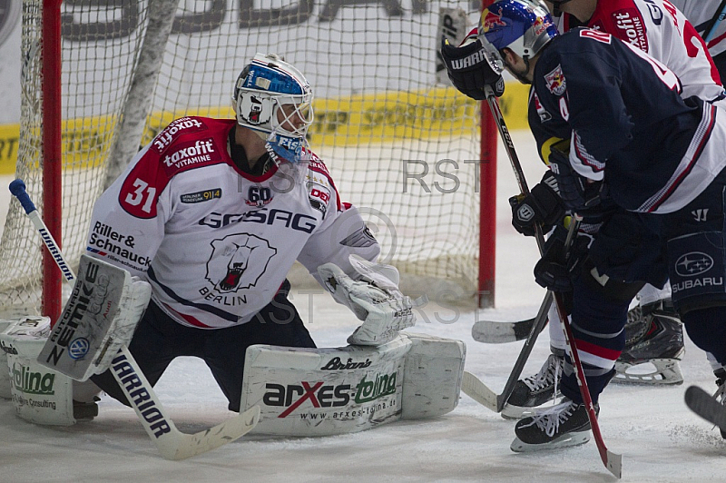 GER, DEL, EHC Red Bull Muenchen vs. Eisbaeren Berlin