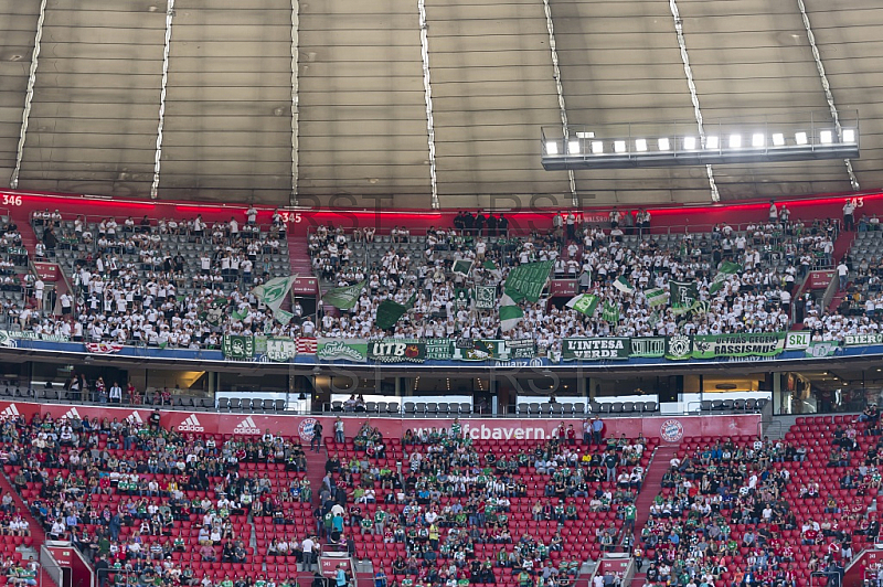 GER, 1.FBL,  FC Bayern Muenchen vs. SV Werder Bremen