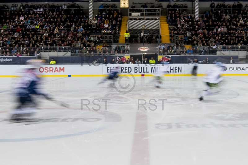 GER, DEL, EHC Red Bull Muenchen vs. Augburger Panther