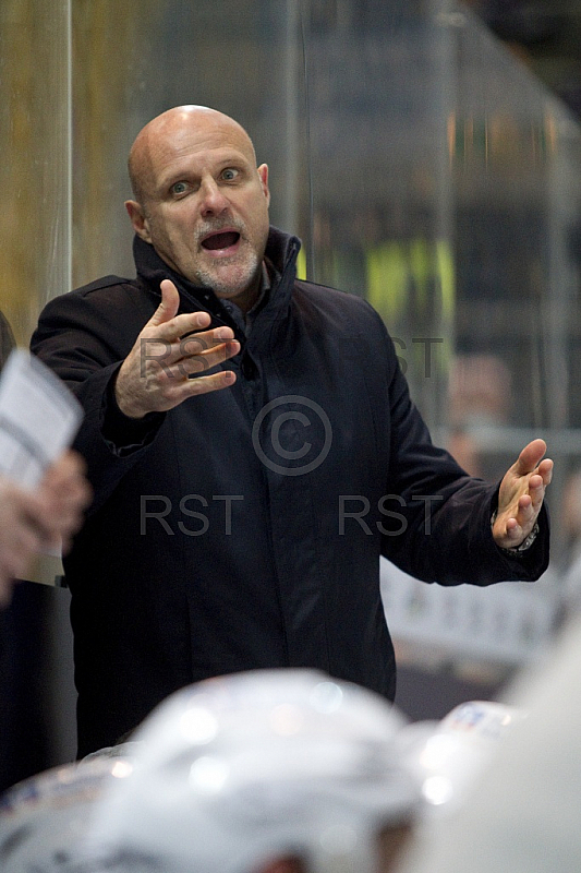 GER, DEL, EHC Red Bull Muenchen vs. Hamburg Freezers