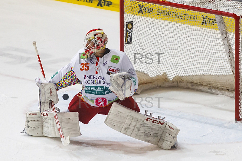 GER, DEL, EHC Red Bull Muenchen vs. Dueseldorfer EG 