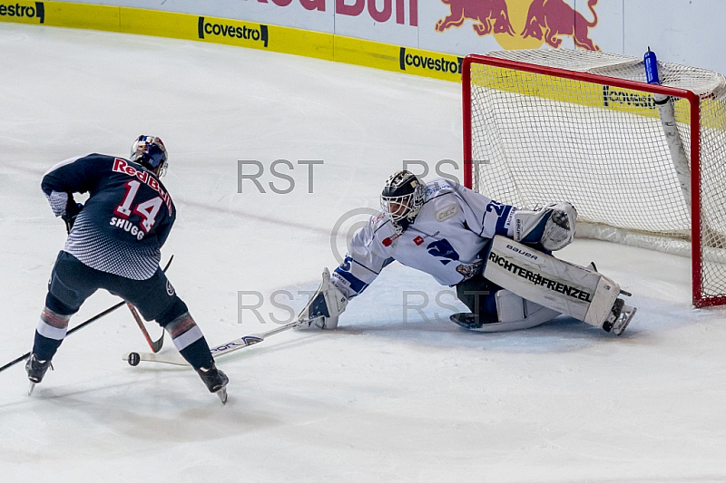 GER, DEL, EHC Red Bull Muenchen vs. Straubing Tigers 