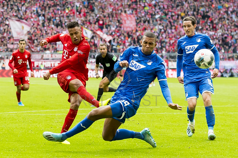 GER, 1.FBL,  FC Bayern Muenchen vs. TSG 1899 Hoffenheim