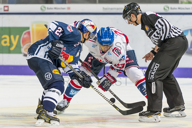 GER, DEL, EHC Red Bull Muenchen vs. Adler Mannheim