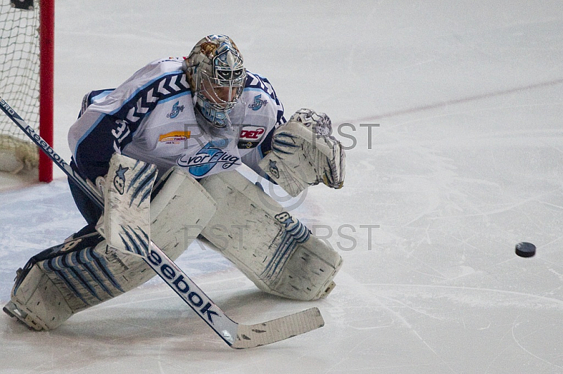 GER, DEL, EHC Red Bull Muenchen vs. Hamburg Freezers