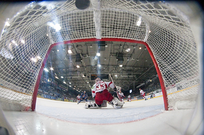 GER, DEL, EHC Red Bull Muenchen vs. Koelner Haie