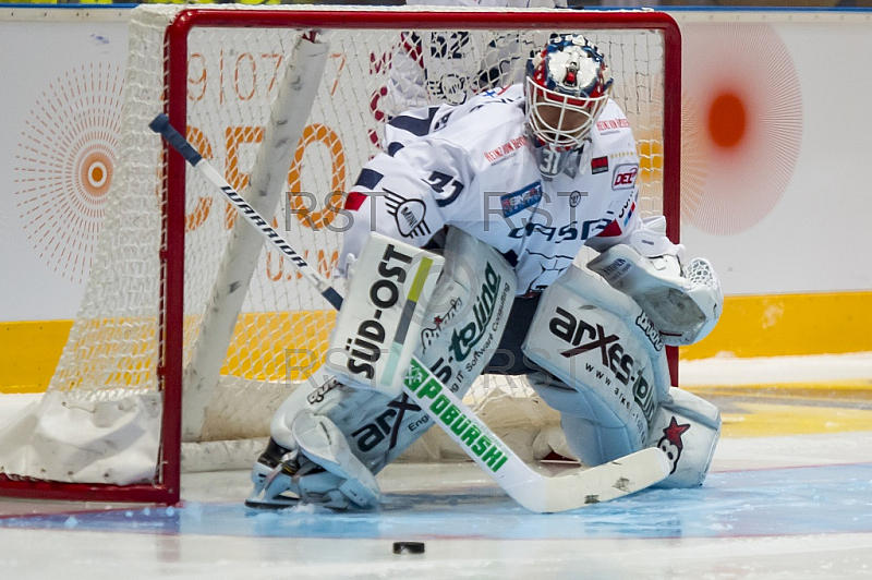 GER, DEL, EHC Red Bull Muenchen vs. Eisbaeren Berlin