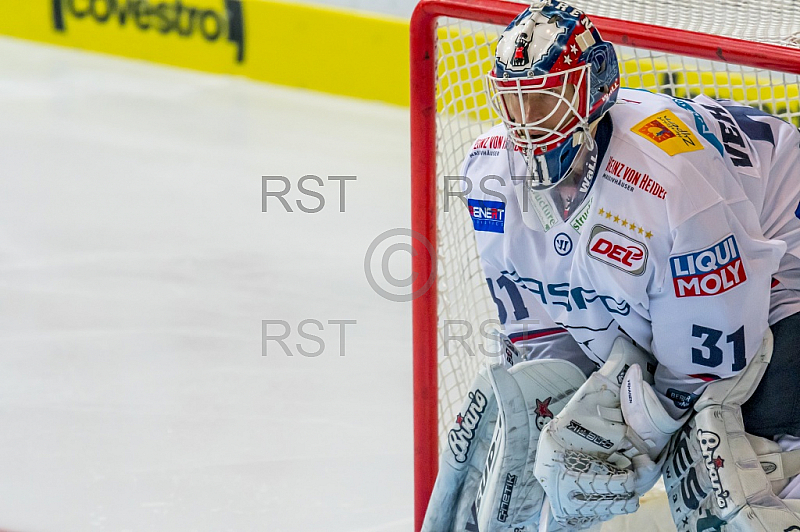 GER, DEL, EHC Red Bull Muenchen vs. Eisbaeren Berlin 