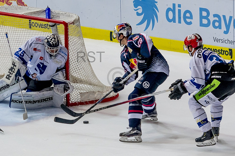 GER, DEL, EHC Red Bull Muenchen vs. Straubing Tigers 